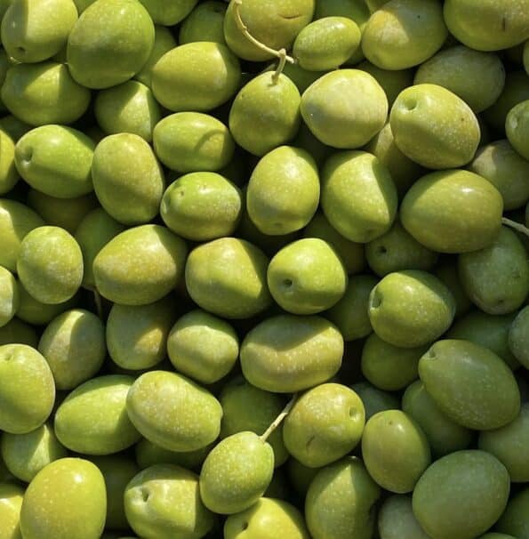 1 Lt Ultra High Polyphenol Extra Virgin Olive Oil | Antioxidant