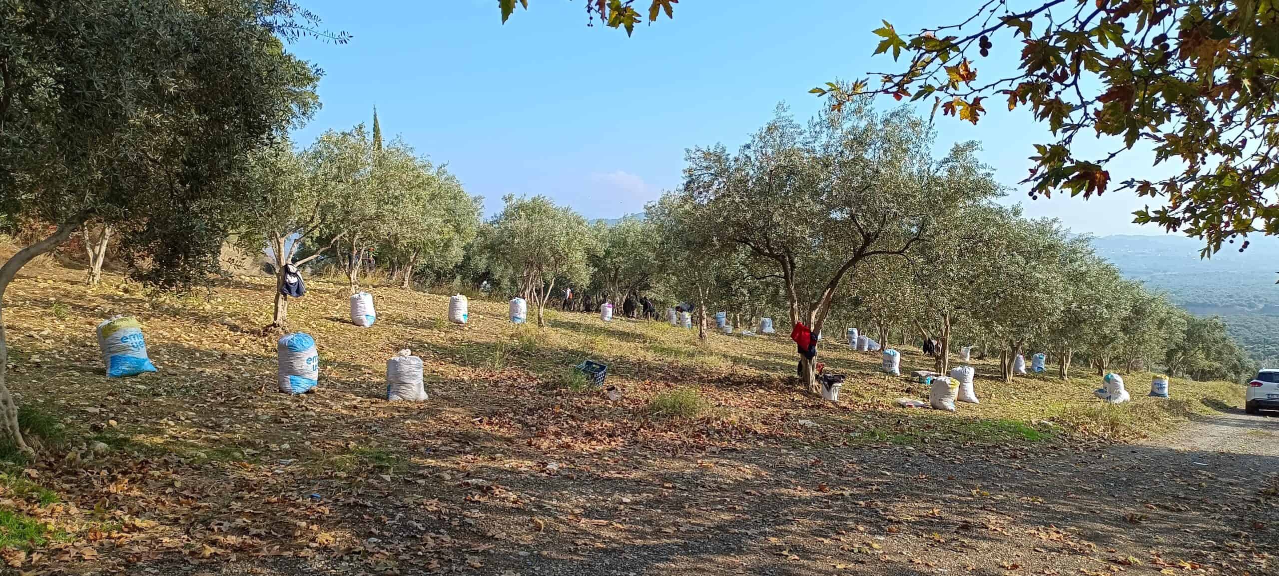 WhatsApp am 06.04.2025, 23.09.24_b4a24e6c